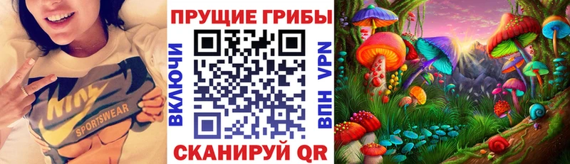 Псилоцибиновые грибы мицелий  Нолинск 